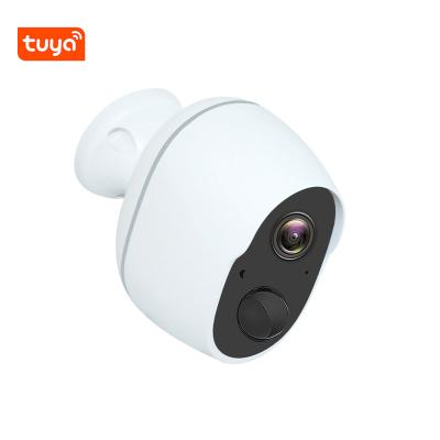 China Tuya WiFi IP Camera Rechargeable IP66 1080P 6000 MAH Battery Powered Outdoor Security Wireless Smart Camera TY-S2-D06 for sale