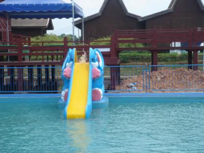 China Faser-Glas-Garten-Minikinderwasserrutsche, Aqua-Park-Swimmingpool-Dia zu verkaufen