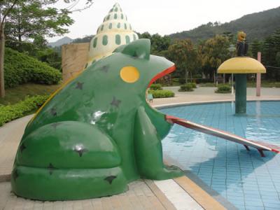 China Backyard Water Slides For Kids for sale