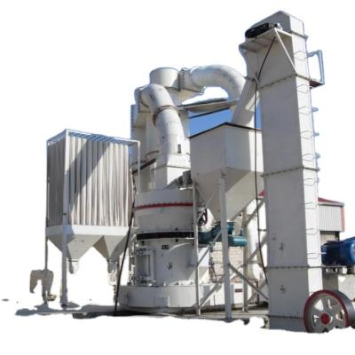 China High Capacity 12 Ton 200 Ton Dolomite Stone Powder Powder Mill 6 Roller Raymond Mill for sale