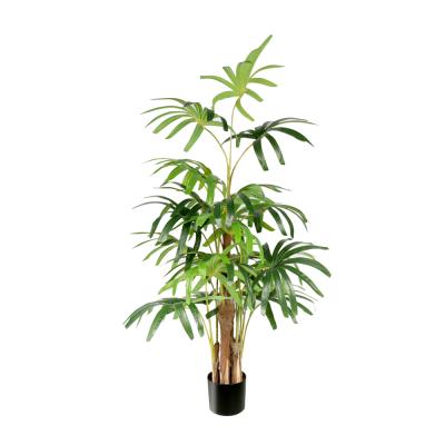 China Environmental Friendly 150Cm Bamboo Faux Palm Tree With Pot Artificial Bonsai Tree for sale