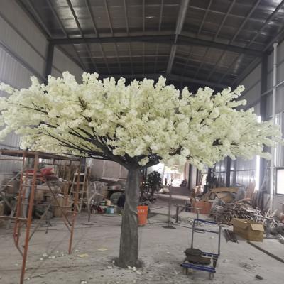 China Customized Plastic Tree Plastic Cherry Blosson Trees Wedding Decoration Artificial White Tree Large for sale