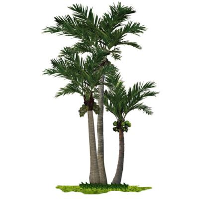 China Contemporary Large Artificial Fiberglass Palm Tree Plants For Outdoor Wedding Decoration for sale