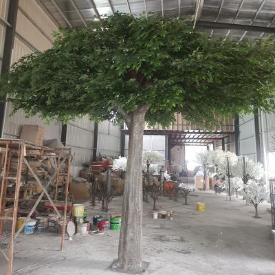 China Fake Large Contemporary Artificial Big Highlight Banyan Trees For Store Internal Decoration for sale