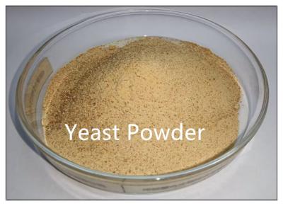 China Feed Additive Yeast Powder Inactive Brewers Yeast Protein en venta