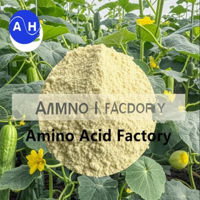 China Compound Amino Acid Mixture 40% With NH4CL Powder Form With Much Cheaper Price for sale