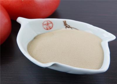 China Fertilizante orgánico del bio alto nitrógeno para las verduras de hoja de las plantas L aminoácido en venta