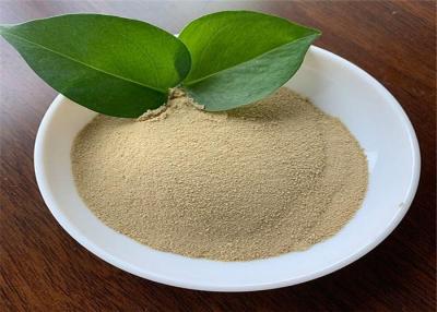 China Soy Protein Hydrolysis Free Amino Acid 80% Light Yellow Powder for sale