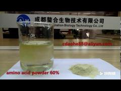 Plant Source Amino Acid Powder Agricultural Enzymolysis Process