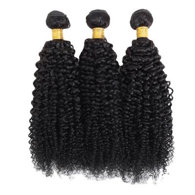 China Good Texture Can Keep Long Time Brazilian Hair Bundles Hair, Hair Bundles India Virgin Cuticle Aligned Hair, Brazilian Kinky Curly Hair Bundles for sale