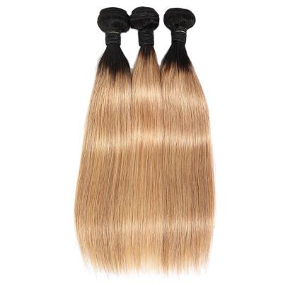 China Good Texture Can Keep Long Time Wholesale Price Virgin Hair Cuticle Aligned Hair Brazilian Straight Hair Bundles Unprocessed Remy Hair Extension 1B/27 Ombre for sale