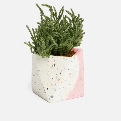 China 2020 Viable New Terrazzo Desktop Planter for sale