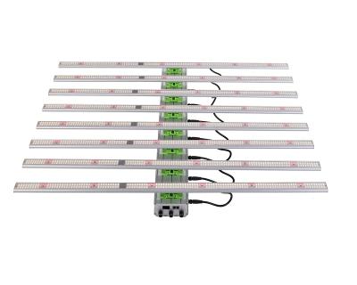 China Seed Starting Popular 2021 Full Spectrum Led Grow Light 8 Bar High Brightness Commercial 800w Led Grow Light For Horticulture for sale