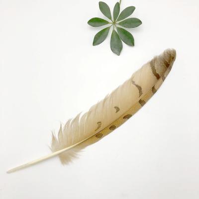 China OWL Feather Craft Fashion Items OWL Feather Natural OWL Feathers 20-24cm Stain Fan Vase DIY for sale