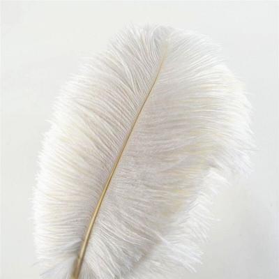 China Wholesale Party Event Decoration Party Decoration 50-55CM Large White Ostrich Feather for sale