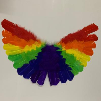 China Multicolor Rainbow Angel Feather Wings Kids Girls Costume Feather Wing Cape Festival Cosplay Feather Feather for sale