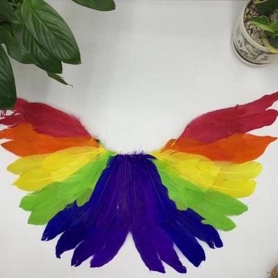 China Adult Feather Angel Wings Large For Halloween Festival Factory Size Rainbow Feather for sale