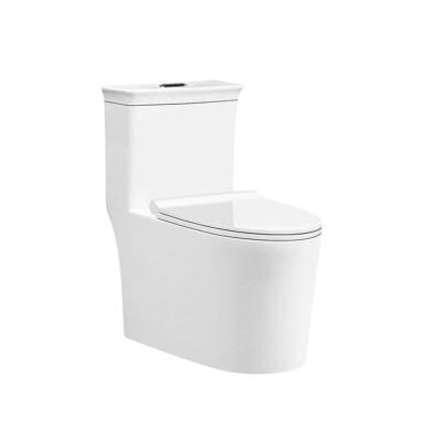 China Wholesale Sanitary Ware One Piece Cheap Washdown Equipment Factory Bathroom WC Concealed Ceramic Toilet for sale