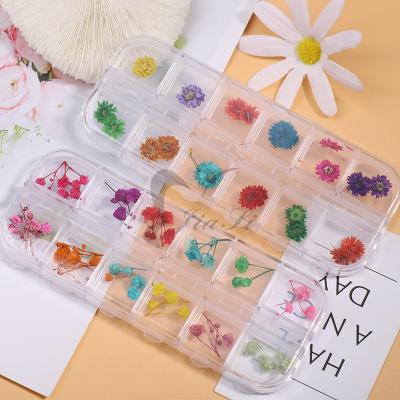 China Flowers wholesale new style 12colors one set flower nail art 3D natural dry flower nail decoration for sale