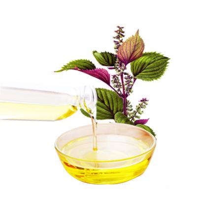 China Factory Price Perilla Seed Oil Herbal Extract Bulk Perilla Seed Oil RXSZY-001 for sale