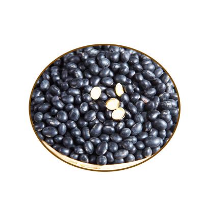 China Bulk Price Dried Bean Black Kidney Beans Usage For Human Food for sale