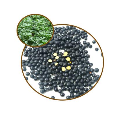 China New Design High Grade Black Soybean Bean Seed Dry Beans for sale