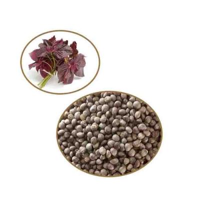 China Premium Dry Perilla Seeds Herbs And Spices Small Edible Perilla Seeds RXSZ-001 for sale