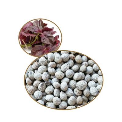 China Direct Wholesale Large Standard Natural Perilla Seeds Perilla Frutescen Purple Seed RXSZ-001 for sale