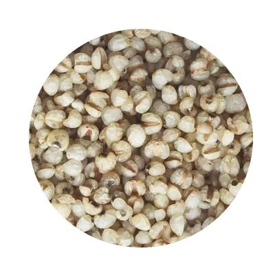 China Wholesale100% Dry Pure Natural Steamed Works Tear Roasted For Beverage for sale