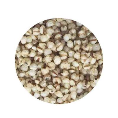 China Coix's Best Quality Crop Tears Seed Dried Pearl Barley Works Bulk for sale