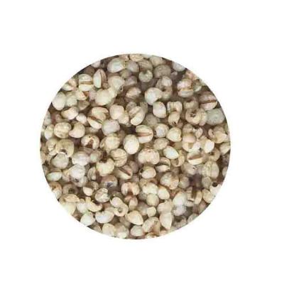 China Coix Top Quality Premium Tears Of Seed Dried Direct Wholesale Pearl Barley Works for sale