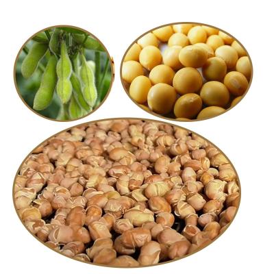 China Northeast China Non-Transgenic Wholesale Dried Soybeans Steamed Soybeans for sale