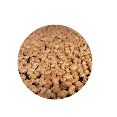 China Wholesale High Quality Dry Soybean Grain Non-GMO Soybean Bulk Protein for sale