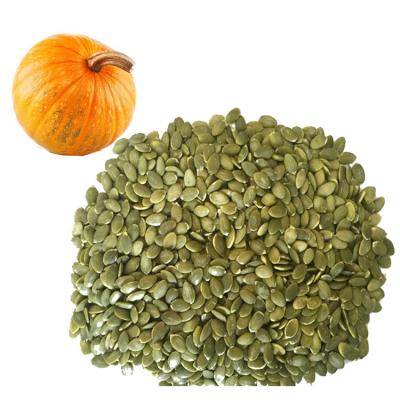 China Pumpkin Seeds 25kg/Bag Shell Dried 9mm 11mm Heilongjiang Original Chinese Dried White Pumpkin Core 13mm for sale