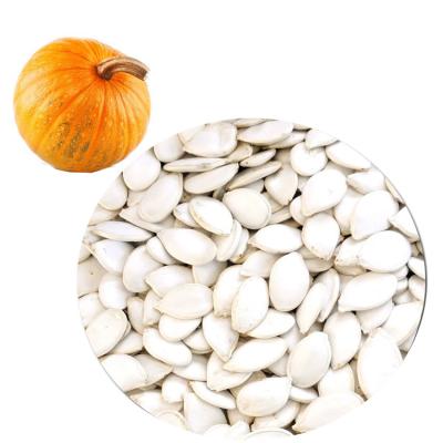 China Chinese Raw White Raw Dry Pumpkin Seeds Original 25kg/Bag Shell Dried 10-13mm Heilongjiang for sale