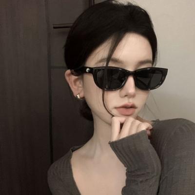 China Fashion Sunglasses Brand New Oval Sunglasses Retro With High Quality for sale