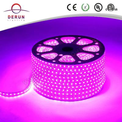 China High Quality Hotel with ETL Listed Waterproof 110V 5050 Led Strip Light in Shenzhen for sale