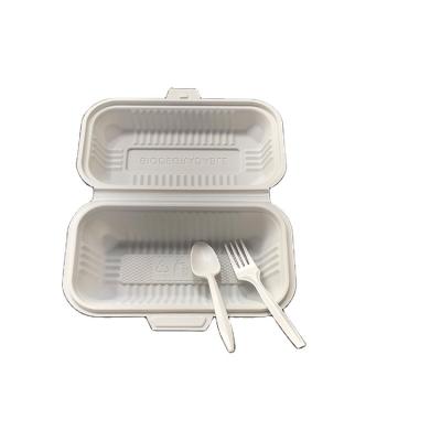 China EGP Atering Biodegradable Custom Biodegradable Environmental Friendly Disposable Lunch Box for sale