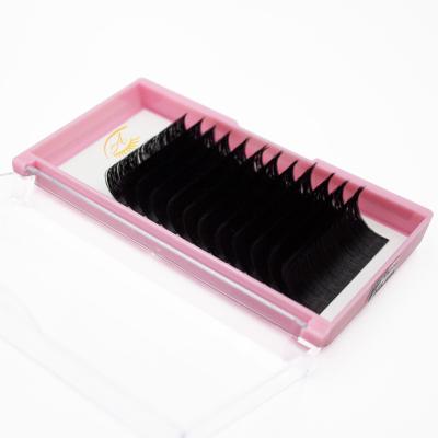 China Wholesale Quick Production 12 Ream Natural Thick Long Lash Tray Silk Easy Fanning Eyelashes for sale