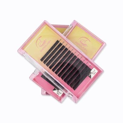 China Full Volume Anrolash Flower Fans Eyelash Extension 0.03mm Easy To Make Fans Whip Eyelash Extension Private Logo for sale