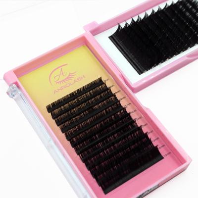 China Full Volume Anrolash Bloom Supplies Premium Flutty Classic Private Label Eyelash Extension Custom Box Packaging for sale