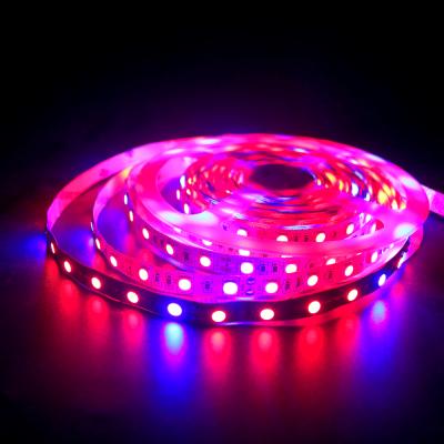 China Hotel 5m Phyto LED Grow 12V Full Spectrum LED Diode Strip Lamp 5050 LED Strip Light Flexible Growing Plant Phytolampy IP65 Aquarium for sale