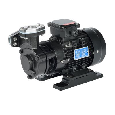 China Other WM 0.37kw Low Temperature Cast Iron Water Vortex Pump for sale