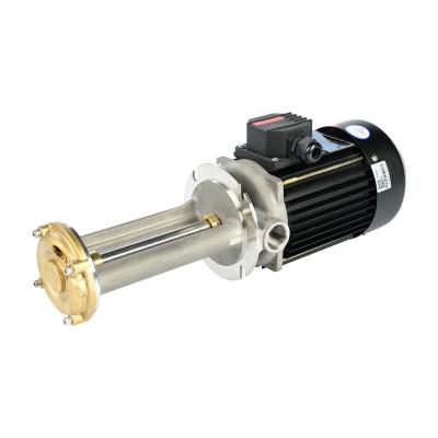 China Other Low Noise High Temperature Resistance Vertical Vortex Pump for sale