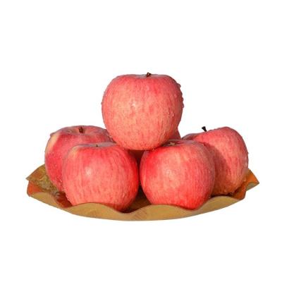 China Fresh Fresh Fruit Fuji Juicy Red Apple Fresh Apple Fuji with Good Delicious on Sale for sale