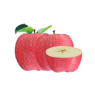 China Wholesale Fresh Apple Gansu China Nice Fruit Red Sweet Apple Red Sweet Apple Price Fuji for sale