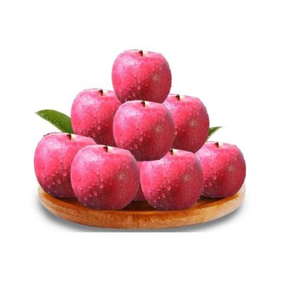 China Fresh Quality Fresh Apple For Sale for sale