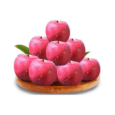 China Fuji fresh fresh Apple Red Star Apple for wholesale for sale