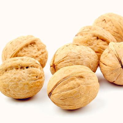 China Dry Chinese Wholesale Market Price Packaging Organic Paper Shell Walnuts In Shell for sale