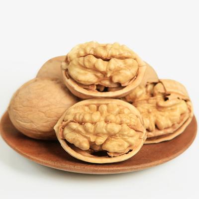 China Top Sale Factory Dried Wholesale Dried Nuts Wallnut Kernels Walnut Without Shell for sale